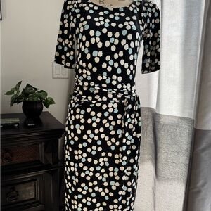 Talbots Polka Dot Dress
